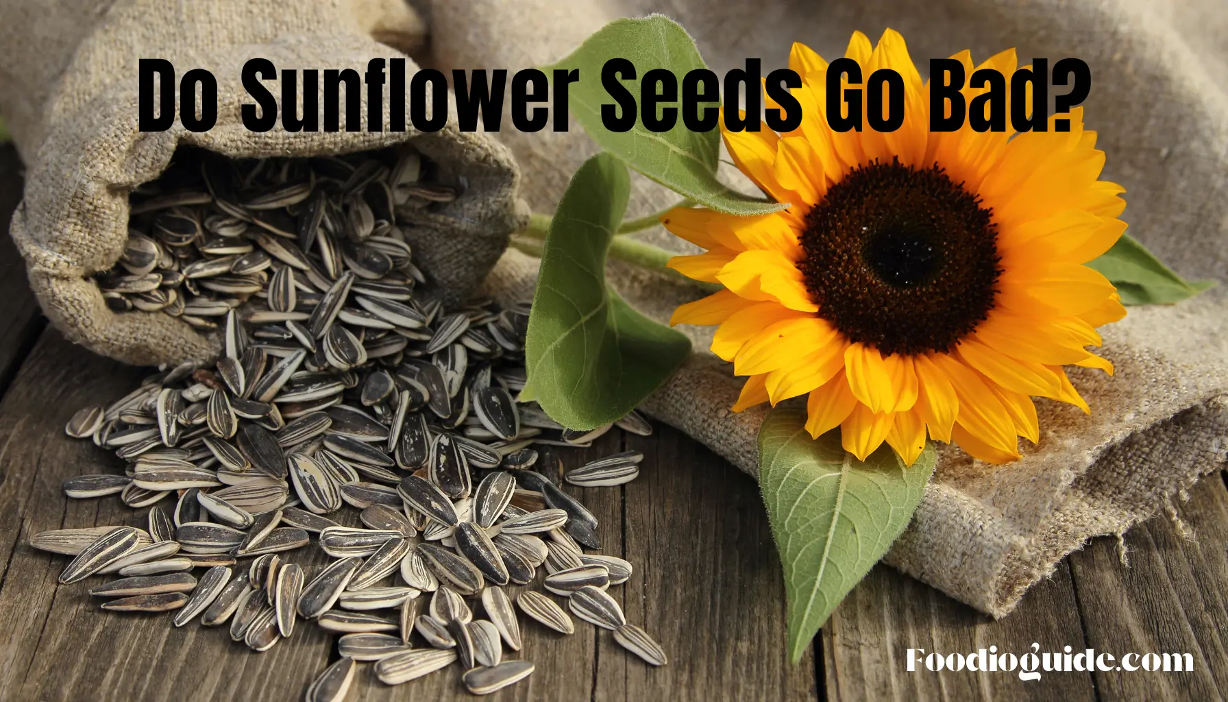 do sunflower seeds go bad